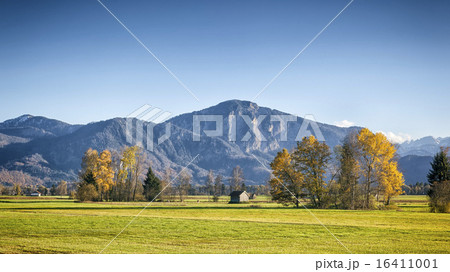 autumn scenery 16411001