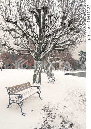 winter scenery 16411125