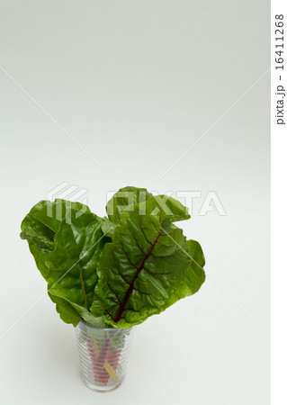 野菜 野菜 16411268