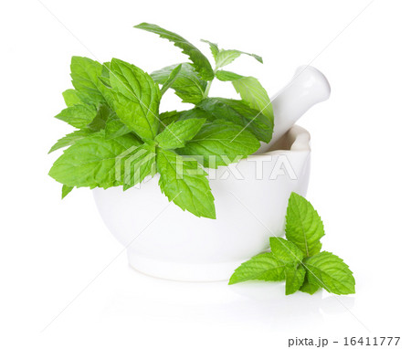 Fresh mint in mortar Fresh mint in mortar 16411777