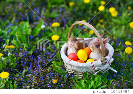 Colorful easter eggs in a basket Colorful easter eggs in a basket 16412494