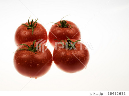 Four red tomatoes sprinkled with water  16412651