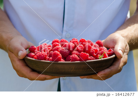 Close Up Of Man Holding Raspberries 16412677