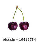 Realistic watercolor illustration cherry isolated  16412734
