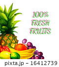 Hand drawn watercolor fresh organic fruits  16412739