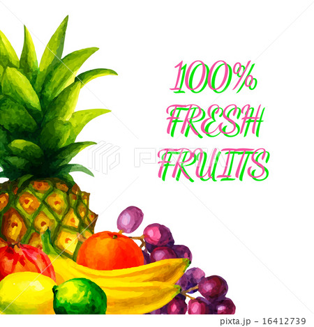 Hand drawn watercolor fresh organic fruits  16412739