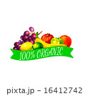 Hand drawn watercolor fresh organic fruits  16412742