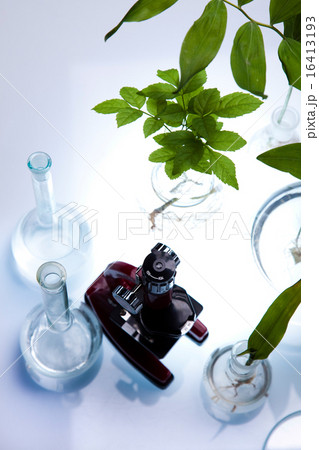 Laboratory glassware, genetically modified plant 16413193