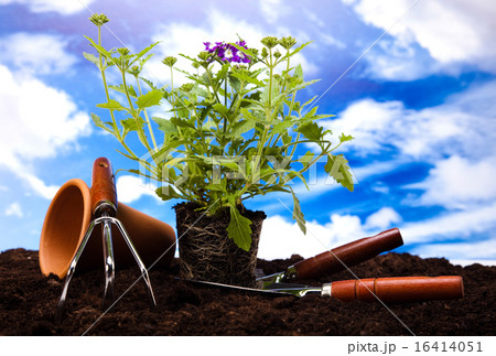 Garden tools concept, vivid bright springtime Garden tools concept, vivid bright springtime 16414051
