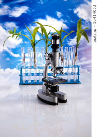 Science experiment with plant laboratory Science experiment with plant laboratory 16414053