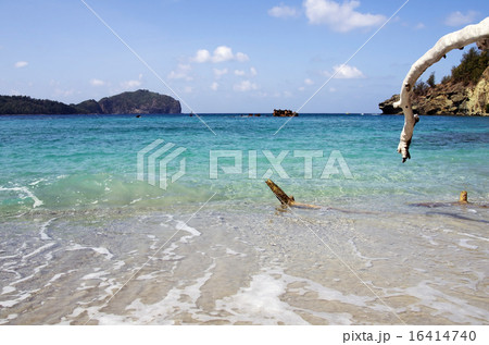 境浦海岸からの風景（父島） 16414740