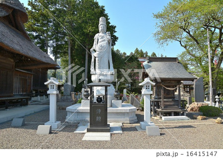 観音菩薩 観音菩薩 16415147