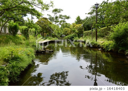 親水公園 16418403