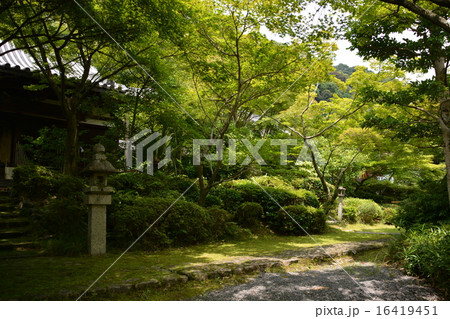 善法律寺（もみじ寺） 16419451