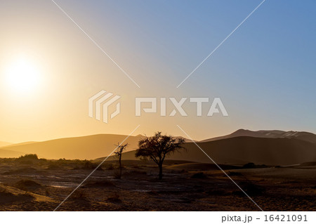 beautiful landscape of Hidden Vlei in Namib desert beautiful landscape of Hidden Vlei in Namib desert 16421091