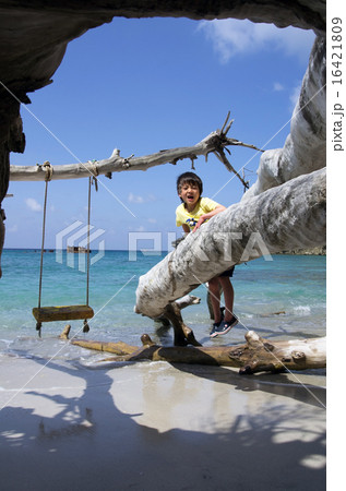 ブランコと子供の境浦海岸風景（父島） 16421809