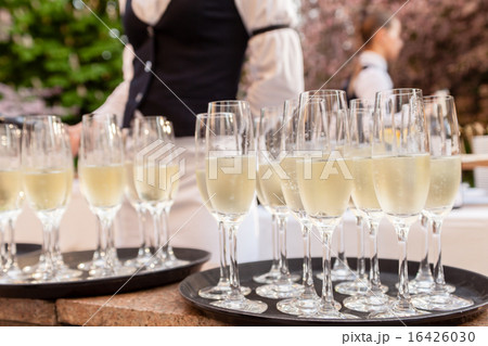champagne glasses champagne glasses 16426030