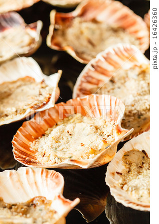 Scallops in the shell Scallops in the shell 16426360