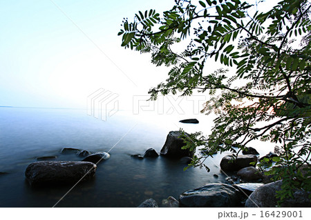 rocks sea shore 16429001