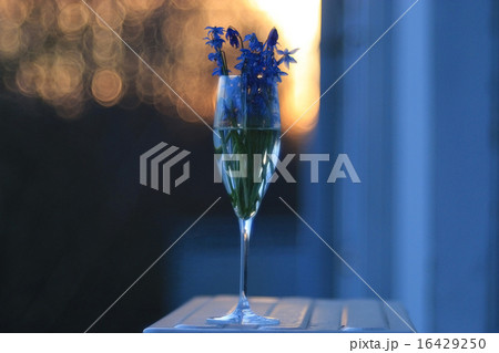 bouquet of blue spring flowers in a glass bouquet of blue spring flowers in a glass 16429250