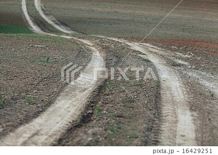 road by a wheat field landscape 16429251