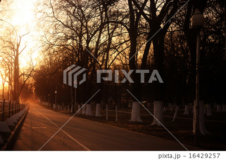 blurred cityscape sunset on the street 16429257
