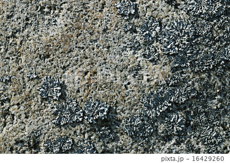 texture of granite stone 16429260