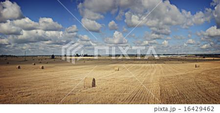 lay hay on field clouds sun 16429462