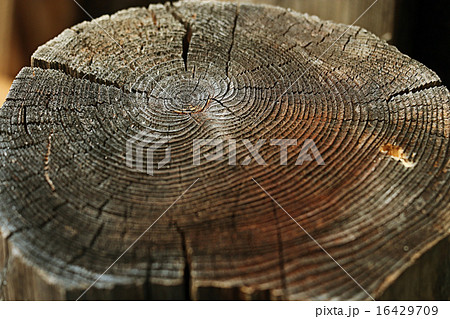 old wood texture background circle 16429709