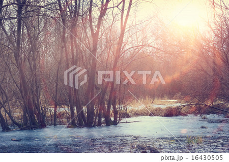 winter sunset on the marsh winter sunset on the marsh 16430505