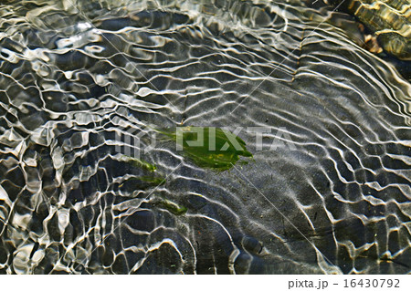 texture water texture water 16430792