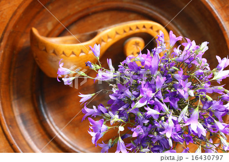 small field of purple flowers, bells bouquet small field of purple flowers, bells bouquet 16430797
