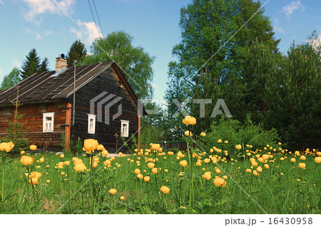 summer country house flowers summer country house flowers 16430958