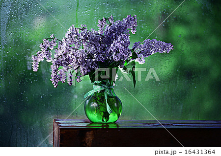 lilac in a vase on the window 16431364