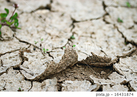 background cracked dry land, drought 16431874