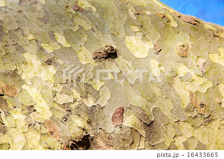 in england london old  texture 16433665