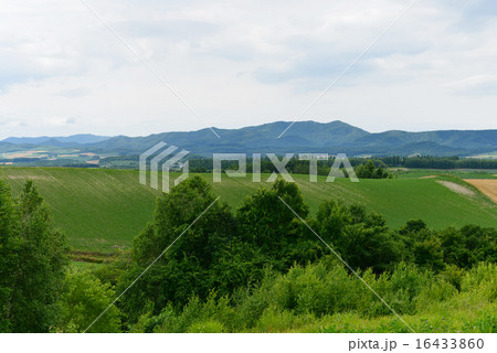 美瑛の風景 美瑛の風景 16433860