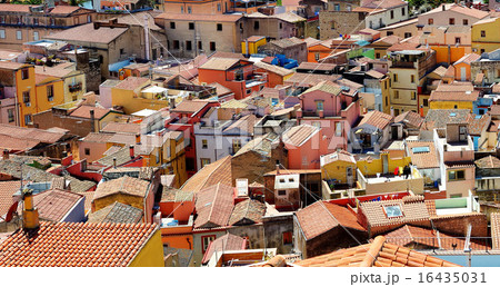 Colorful houses of Bosa town 16435031