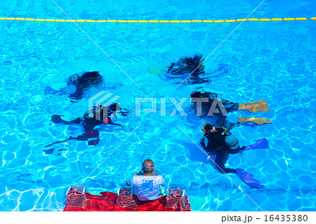 ダイビング講習 16435380