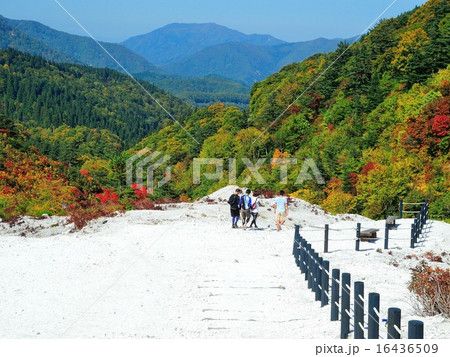 川原毛地獄 紅葉 16436509