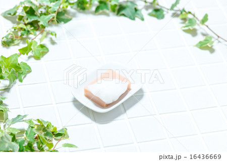 バスイメージ（タイル、石鹸、陶器製ソープディッシュ、アイビー） 16436669