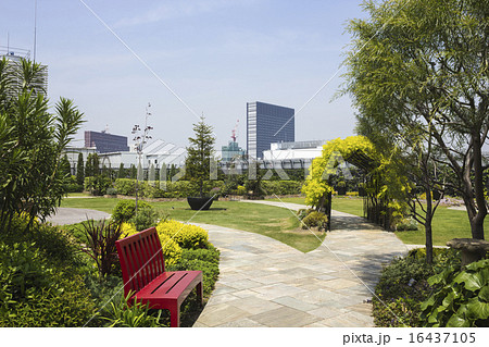 屋上庭園 16437105