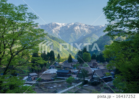 世界遺産　五箇山　相倉合掌造り集落　（富山） 16437252