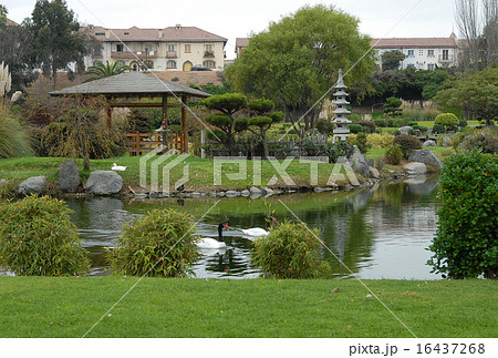 チリ ラ・セレナ 心の庭 チリ ラ・セレナ 心の庭 16437268