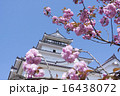 鶴ヶ城 16438072