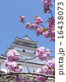鶴ヶ城 16438073