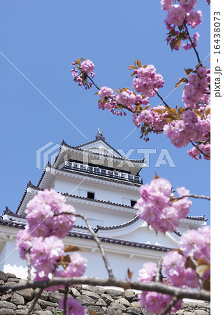 鶴ヶ城 16438073