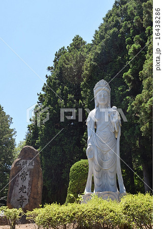 常光寺の観音菩薩 常光寺の観音菩薩 16438286