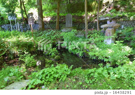 湧き水 強清水 湧き水 強清水 16438291