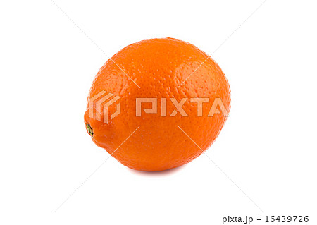 Image of ripen orange minneola  16439726